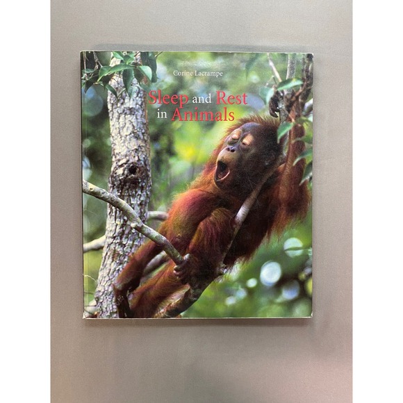 Nature Animals Childrens Books Bundle of 4 Books‎ Homeschool Reader - Picture 2 of 16